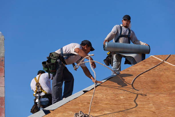 Best Commercial Roofing Services  in Red Oak, IA